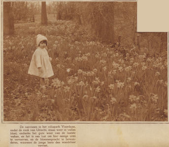 874286 Afbeelding van een klein meisje in een veld met bloeiende narcissen op het Villapark Voordaan te Groenekan.